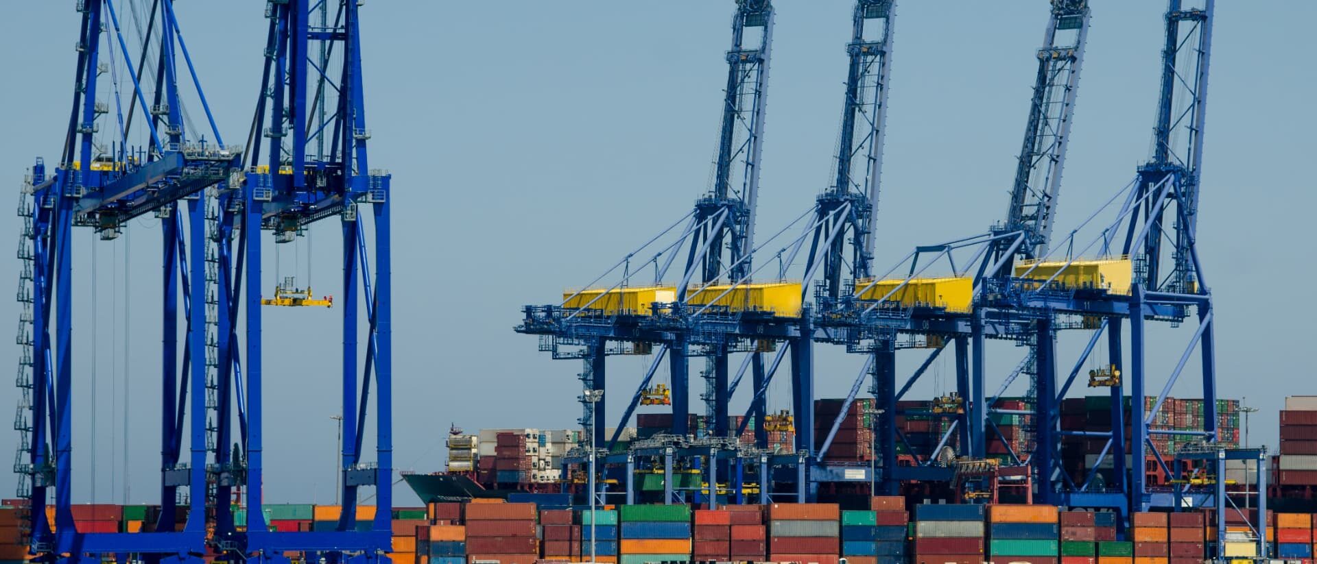 Blue and yellow quayside cranes beside a container vessel and stacked containers.